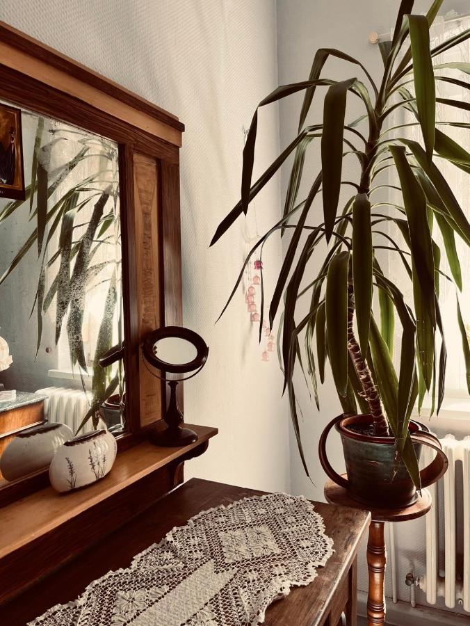 Ferienwohnung Geister Naumburg  Buitenkant foto