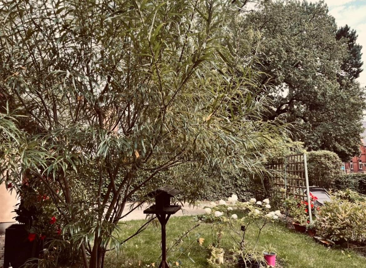 Ferienwohnung Geister Naumburg  Buitenkant foto