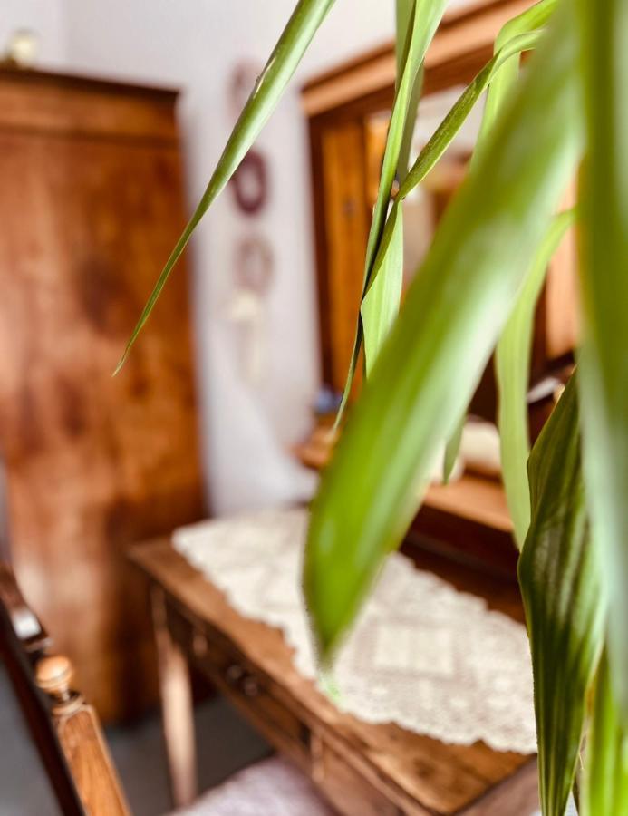 Ferienwohnung Geister Naumburg  Buitenkant foto